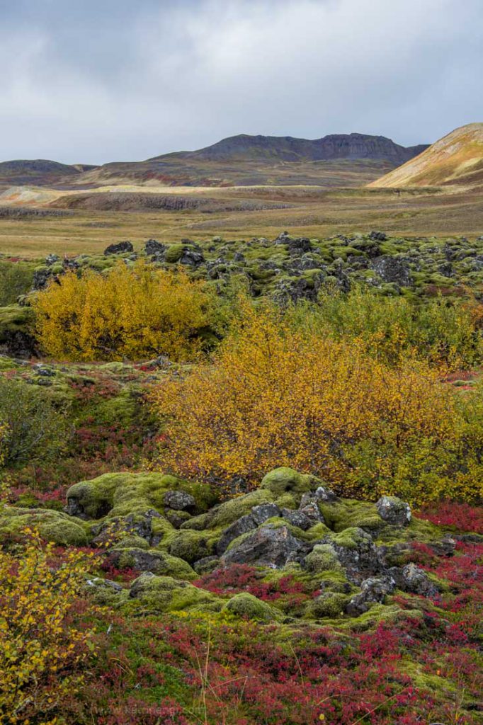 Autumn colors Iceland